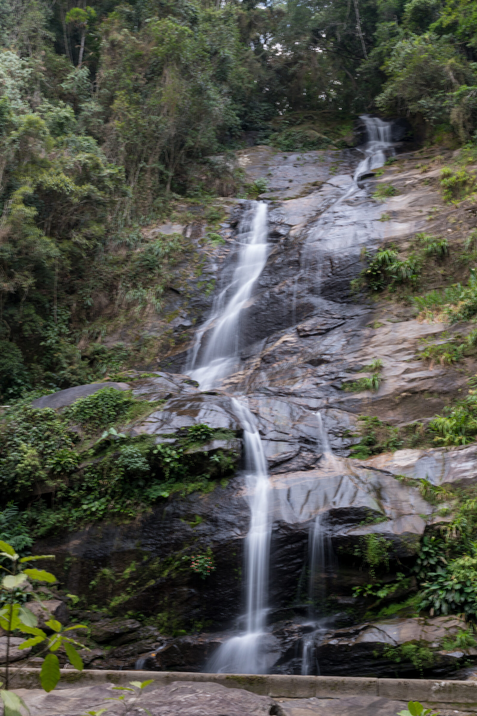 Cascatinha Taunay au cœur de la forêt de Tijuca