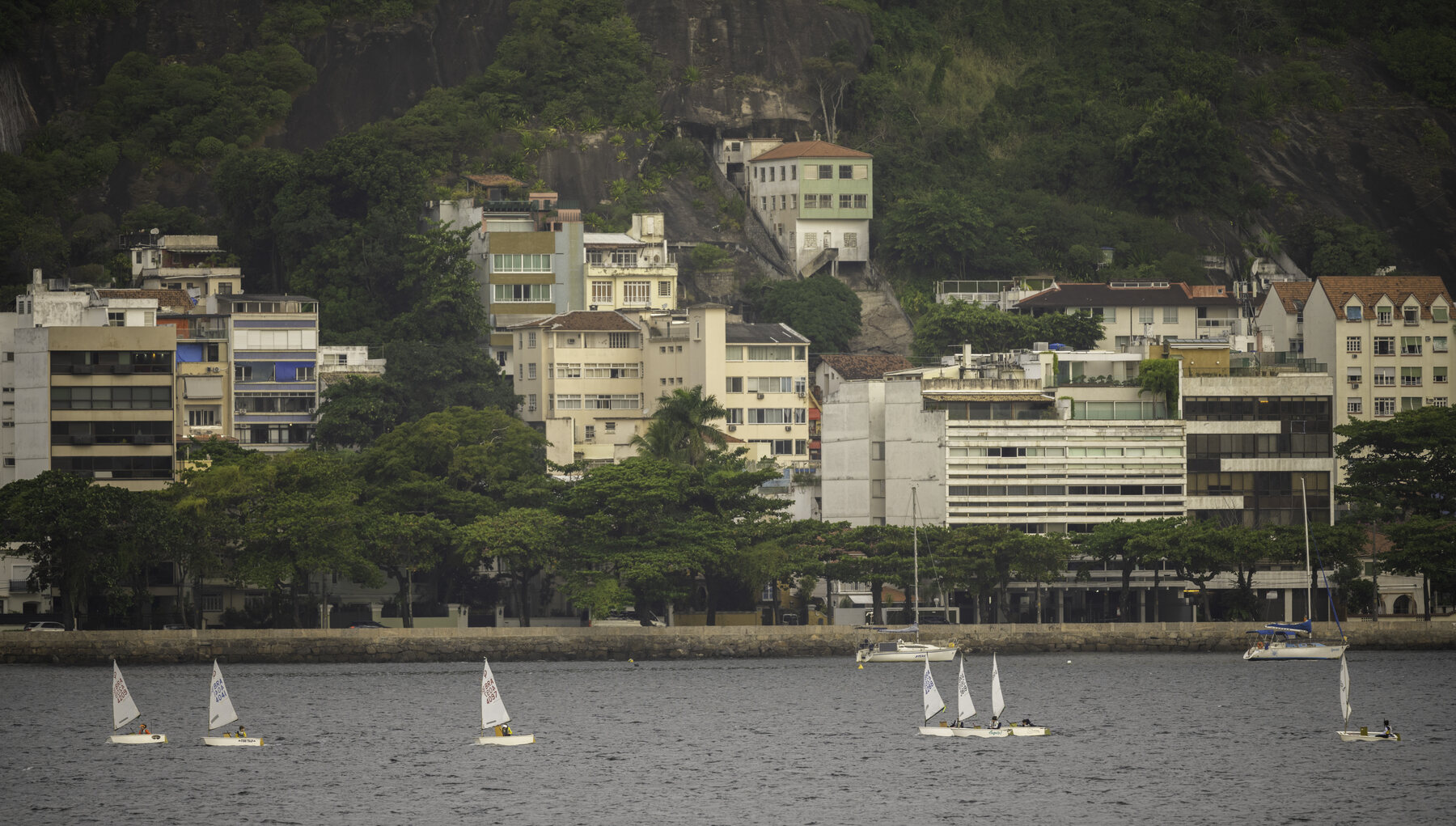 Voiliers dans la baie de Botafogo à Rio de Janeiro
